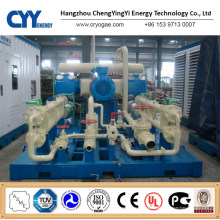 CNG28 Skid-Mounted Lcng CNG LNG Combination Station Filling